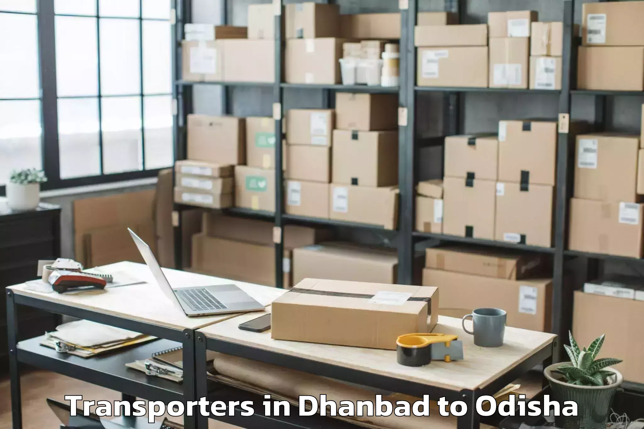 Book Dhanbad to Barkote Transporters Online